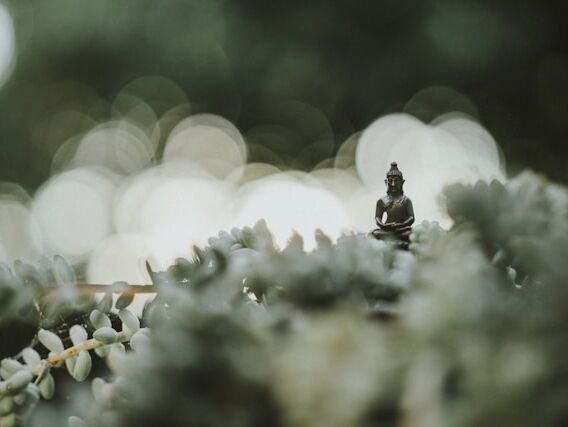 Past - Buddha FR