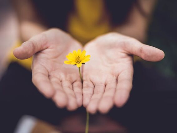 Service with Joy - Mahatma Ghandi FR