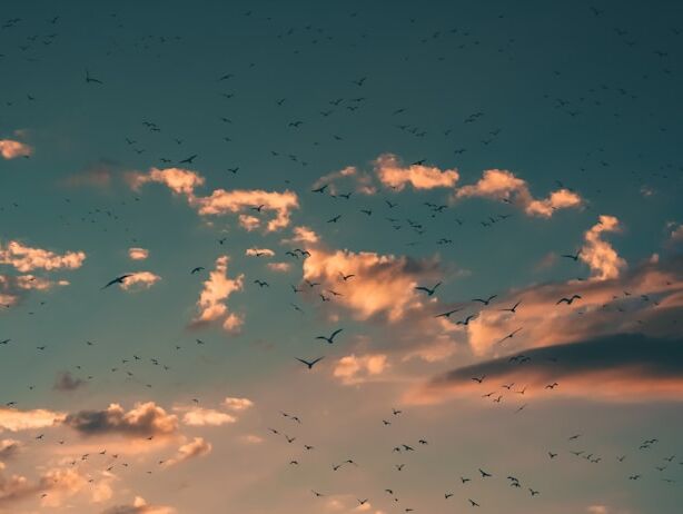 Love - Khalil Gibran - FR