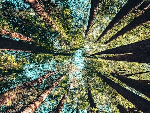 Meditation - Elizabeth Lesser - FR