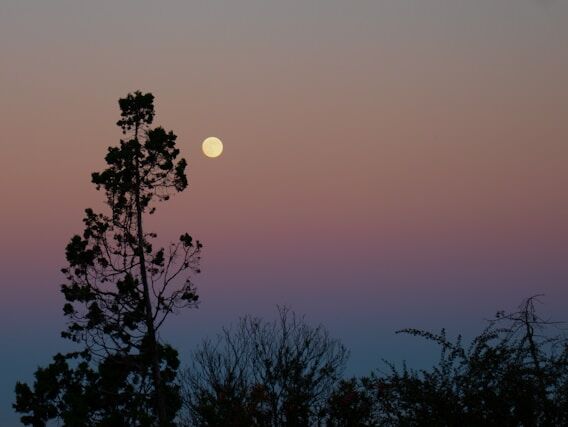 Remembering - Marianne Williamson - FR